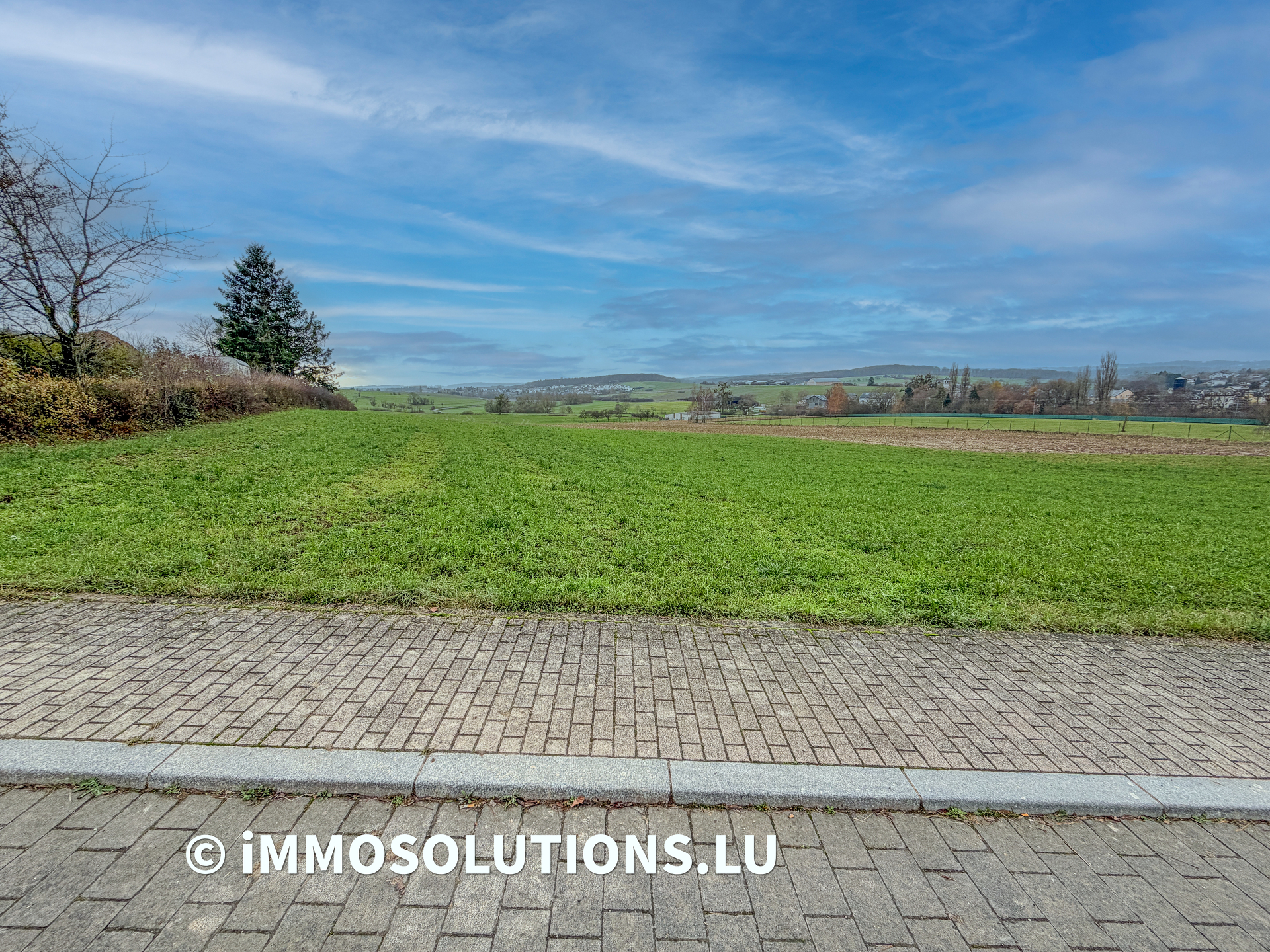 Terrain — Olingen - photo 2